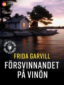 Försvinnandet på Vinön