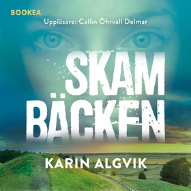 Skambäcken (ljudbok) av Karin Algvik