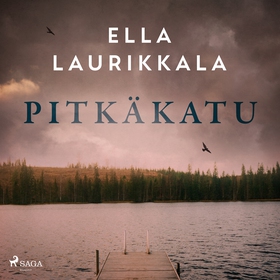 Pitkäkatu (ljudbok) av Ella Laurikkala