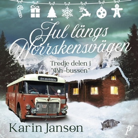 Jul längs Norrskensvägen (ljudbok) av Karin Jan
