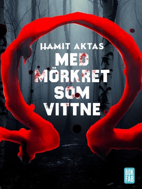 Med mörkret som vittne (e-bok) av Hamit Aktas