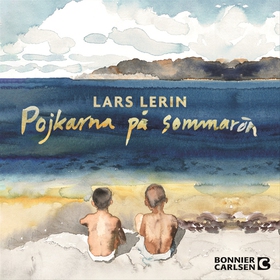 Pojkarna på sommarön (ljudbok) av Lars Lerin