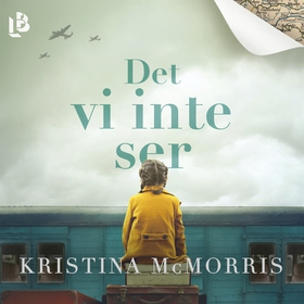 Det vi inte ser (ljudbok) av Kristina McMorris