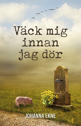Väck mig innan jag dör (e-bok) av Johanna Ekne