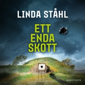 Ett enda skott