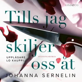 Tills jag skiljer oss åt (ljudbok) av Johanna S