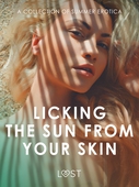Licking the Sun from Your Skin: A Collection of Summer Erotica
