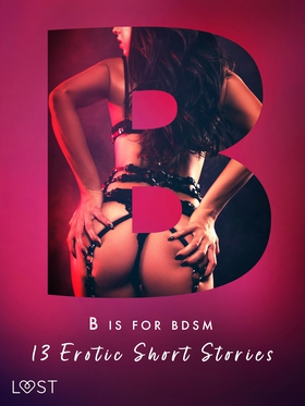 B is for BDSM: 13 Erotic Short Stories (e-bok) 