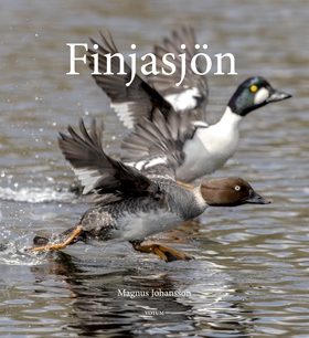Finjasjön (e-bok) av Magnus Johansson