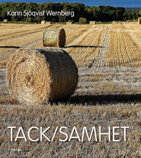 Tack/samhet (e-bok) av Karin Sjökvist Wernberg