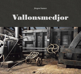 Vallonsmedjor (e-bok) av Jörgen Sanner