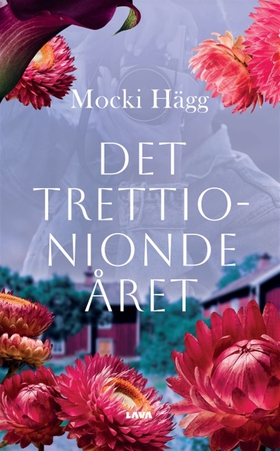 Det trettionionde året (e-bok) av Mocki Hägg