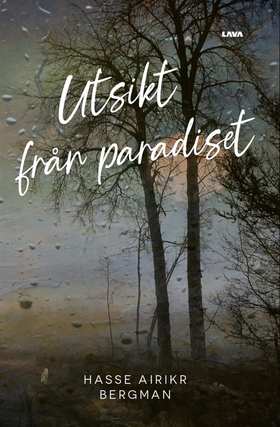 Utsikt från paradiset (e-bok) av Hasse Airikr B