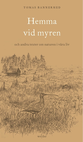 Hemma vid myren : Och andra texter om naturen i