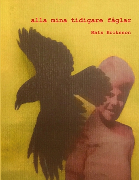 alla mina tidigare fåglar (e-bok) av Mats Eriks