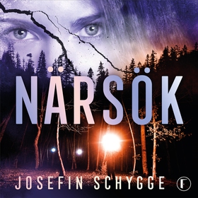 Närsök (ljudbok) av Josefin Schygge