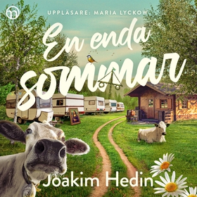 En enda sommar (ljudbok) av Joakim Hedin