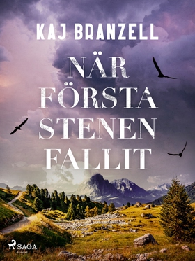 När första stenen fallit (e-bok) av Kaj Branzel