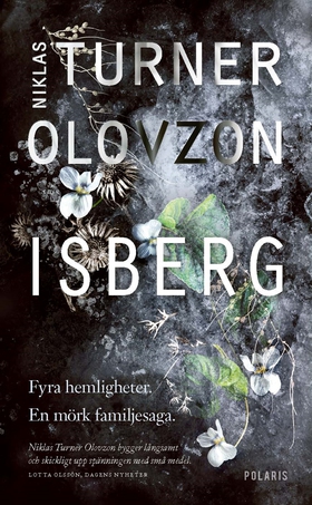 Isberg (e-bok) av Niklas Turner Olovzon