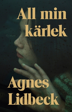 All min kärlek (e-bok) av Agnes Lidbeck