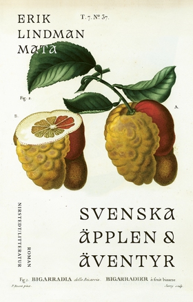 Svenska äpplen och äventyr (e-bok) av Erik Lind