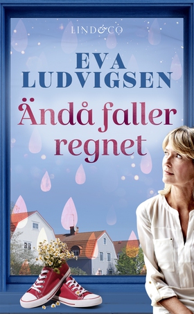 Ändå faller regnet (e-bok) av Eva Ludvigsen