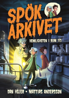 Hemligheten i rum 113 (e-bok) av Dan Höjer