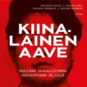 Kiinalainen aave