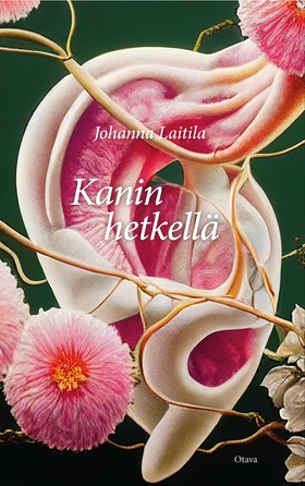 Kanin hetkellä (e-bok) av Johanna Laitila