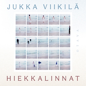 Hiekkalinnat (ljudbok) av Jukka Viikilä
