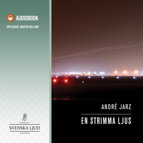En strimma ljus (ljudbok) av André Jarz