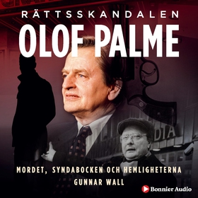 Rättsskandalen Olof Palme : mordet, syndabocken