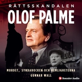 Rättsskandalen Olof Palme : mordet, syndabocken och hemligheterna