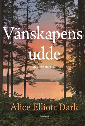 Vänskapens udde (e-bok) av Alice Elliott Dark