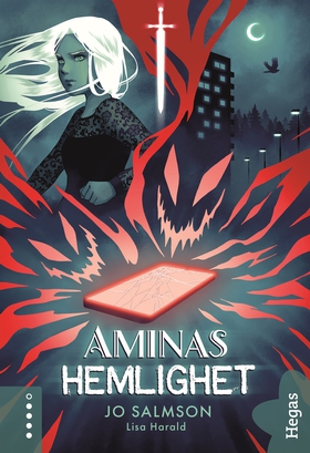 Aminas hemlighet (e-bok) av Jo Salmson