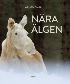 Nära älgen (e-bok) av Kristoffer Sahlén