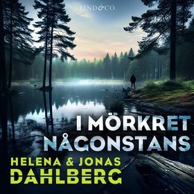 I mörkret någonstans (ljudbok) av Helena Dahlbe