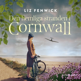 Den hemliga stranden i Cornwall (ljudbok) av Li