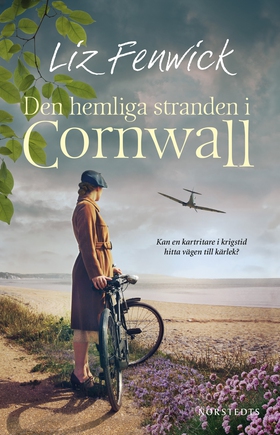 Den hemliga stranden i Cornwall (e-bok) av Liz 