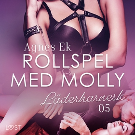 Rollspel med Molly 5: Läderharnesk - erotisk no