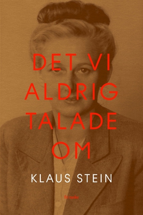 Det vi aldrig talade om (e-bok) av Klaus Stein