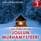 Joulun murhamysteeri