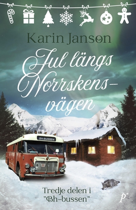 Jul längs Norrskensvägen (e-bok) av Karin Janso