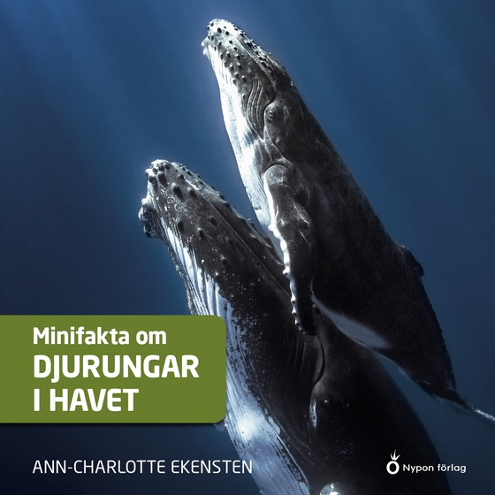 Minifakta om djurungar i havet