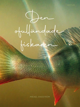 Den ofulländade fiskaren (e-bok) av Mikael Engs