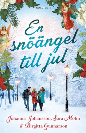En snöängel till jul (e-bok) av Sara Molin, Bir