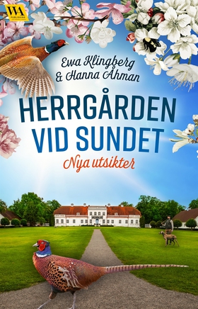 Nya utsikter (e-bok) av Ewa Klingberg, Hanna Åh