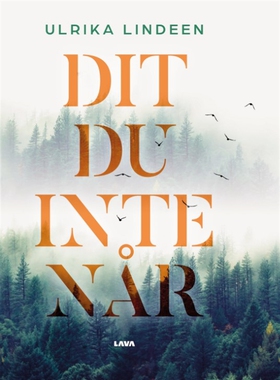 Dit du inte når (e-bok) av Ulrika Lindeen