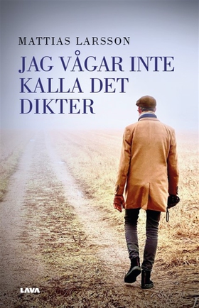 Jag vågar inte kalla det dikter (e-bok) av Matt