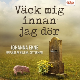 Väck mig innan jag dör (ljudbok) av Johanna Ekn